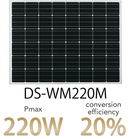 DS-WM220M