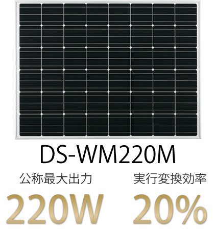 DS-WM220M